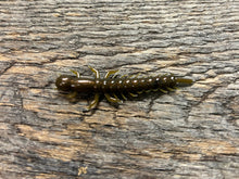 Case LiL Hellgrammite
