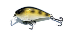 Cornerstone Crankbaits DP 1.5 & DP 2.5 Squarebill