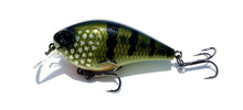 Cornerstone Crankbaits DP 1.5 & DP 2.5 Squarebill