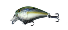 Cornerstone Crankbaits DP 1.5 & DP 2.5 Squarebill