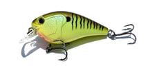 Cornerstone Crankbaits DP 1.5 & DP 2.5 Squarebill