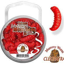 Mummy Worms by Eurotackle