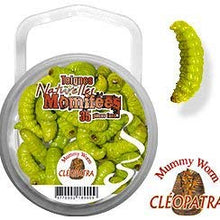 Mummy Worms by Eurotackle