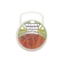 Mummy Worms by Eurotackle
