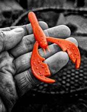 Case Cash Craw
