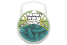 Mummy Worms by Eurotackle