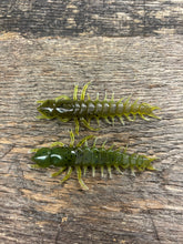 Case Large Hellgrammite