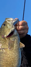"Solid Program" Premium Signature Blade Bait by Todd Koehler