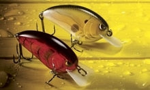 SPRO Little John 50