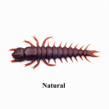 Case Large Hellgrammite