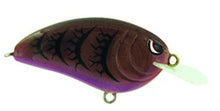 SPRO Little John 50