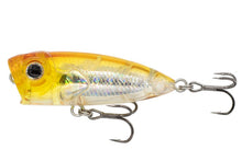 Z-POPPER 1.75" from Eurotackle