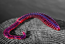 Zipper Perfect 10